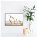 Picture of Beach Pampas _GroupedProduct_Rectangle_Landscape_Photography _GroupedProduct_Rectangle_Landscape_Canvas_Framed_