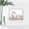 Picture of Beach Pampas _GroupedProduct_Rectangle_Landscape_Photography _GroupedProduct_Rectangle_Landscape_Canvas_Framed_