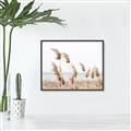 Picture of Beach Pampas _GroupedProduct_Rectangle_Landscape_Photography _GroupedProduct_Rectangle_Landscape_Canvas_Framed_