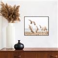 Picture of Beach Pampas _GroupedProduct_Rectangle_Landscape_Photography _GroupedProduct_Rectangle_Landscape_Canvas_Framed_