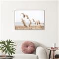 Picture of Beach Pampas _GroupedProduct_Rectangle_Landscape_Photography _GroupedProduct_Rectangle_Landscape_Canvas_Framed_
