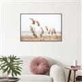 Picture of Beach Pampas _GroupedProduct_Rectangle_Landscape_Photography _GroupedProduct_Rectangle_Landscape_Canvas_Framed_