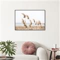 Picture of Beach Pampas _GroupedProduct_Rectangle_Landscape_Photography _GroupedProduct_Rectangle_Landscape_Canvas_Framed_