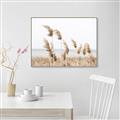 Picture of Beach Pampas _GroupedProduct_Rectangle_Landscape_Photography _GroupedProduct_Rectangle_Landscape_Canvas_Framed_
