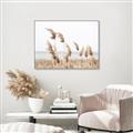 Picture of Beach Pampas _GroupedProduct_Rectangle_Landscape_Photography _GroupedProduct_Rectangle_Landscape_Canvas_Framed_