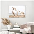 Picture of Beach Pampas _GroupedProduct_Rectangle_Landscape_Photography _GroupedProduct_Rectangle_Landscape_Canvas_Framed_
