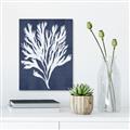 Picture of Navy Coral II  _GroupedProduct_Rectangle_Portrait_Unframed_Print_Only_