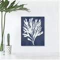 Picture of Navy Coral II  _GroupedProduct_Rectangle_Portrait_Unframed_Print_Only_