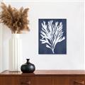 Picture of Navy Coral II  _GroupedProduct_Rectangle_Portrait_Unframed_Print_Only_