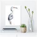 Picture of Egret I  _GroupedProduct_Rectangle_Portrait_Unframed_Print_Only_