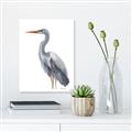 Picture of Egret II  _GroupedProduct_Rectangle_Portrait_Unframed_Print_Only_
