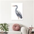 Picture of Egret II  _GroupedProduct_Rectangle_Portrait_Unframed_Print_Only_