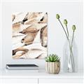Picture of All the Shells  _GroupedProduct_Rectangle_Portrait_Photography _GroupedProduct_Rectangle_Portrait_Unframed_Print_Only_