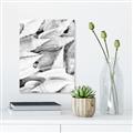 Picture of All the Shells  _GroupedProduct_Rectangle_Portrait_Photography _GroupedProduct_Rectangle_Portrait_Unframed_Print_Only_