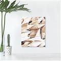 Picture of All the Shells  _GroupedProduct_Rectangle_Portrait_Photography _GroupedProduct_Rectangle_Portrait_Unframed_Print_Only_