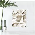 Picture of All the Shells  _GroupedProduct_Rectangle_Portrait_Photography _GroupedProduct_Rectangle_Portrait_Unframed_Print_Only_