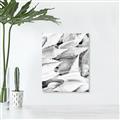 Picture of All the Shells  _GroupedProduct_Rectangle_Portrait_Photography _GroupedProduct_Rectangle_Portrait_Unframed_Print_Only_
