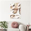 Picture of All the Shells  _GroupedProduct_Rectangle_Portrait_Photography _GroupedProduct_Rectangle_Portrait_Unframed_Print_Only_