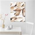 Picture of All the Shells  _GroupedProduct_Rectangle_Portrait_Photography _GroupedProduct_Rectangle_Portrait_Unframed_Print_Only_