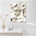 Picture of All the Shells  _GroupedProduct_Rectangle_Portrait_Photography _GroupedProduct_Rectangle_Portrait_Unframed_Print_Only_