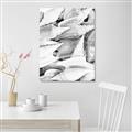 Picture of All the Shells  _GroupedProduct_Rectangle_Portrait_Photography _GroupedProduct_Rectangle_Portrait_Unframed_Print_Only_