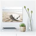 Picture of Surfboard on the Sand _GroupedProduct_Rectangle_Landscape_Photography _GroupedProduct_Rectangle_Landscape_Unframed_Print_Only_