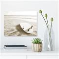 Picture of Surfboard on the Sand _GroupedProduct_Rectangle_Landscape_Photography _GroupedProduct_Rectangle_Landscape_Unframed_Print_Only_