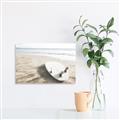 Picture of Surfboard on the Sand _GroupedProduct_Rectangle_Landscape_Photography _GroupedProduct_Rectangle_Landscape_Unframed_Print_Only_