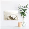 Picture of Surfboard on the Sand _GroupedProduct_Rectangle_Landscape_Photography _GroupedProduct_Rectangle_Landscape_Unframed_Print_Only_