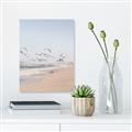 Picture of Beach Birds _GroupedProduct_Rectangle_Portrait_Photography _GroupedProduct_Rectangle_Portrait_Unframed_Print_Only_