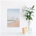 Picture of Beach Birds _GroupedProduct_Rectangle_Portrait_Photography _GroupedProduct_Rectangle_Portrait_Unframed_Print_Only_