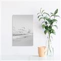Picture of Beach Birds _GroupedProduct_Rectangle_Portrait_Photography _GroupedProduct_Rectangle_Portrait_Unframed_Print_Only_