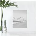Picture of Beach Birds _GroupedProduct_Rectangle_Portrait_Photography _GroupedProduct_Rectangle_Portrait_Unframed_Print_Only_