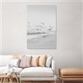 Picture of Beach Birds _GroupedProduct_Rectangle_Portrait_Photography _GroupedProduct_Rectangle_Portrait_Unframed_Print_Only_