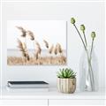Picture of Beach Pampas _GroupedProduct_Rectangle_Landscape_Photography _GroupedProduct_Rectangle_Landscape_Unframed_Print_Only_