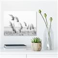 Picture of Beach Pampas _GroupedProduct_Rectangle_Landscape_Photography _GroupedProduct_Rectangle_Landscape_Unframed_Print_Only_