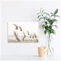 Picture of Beach Pampas _GroupedProduct_Rectangle_Landscape_Photography _GroupedProduct_Rectangle_Landscape_Unframed_Print_Only_