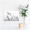 Picture of Beach Pampas _GroupedProduct_Rectangle_Landscape_Photography _GroupedProduct_Rectangle_Landscape_Unframed_Print_Only_