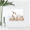 Picture of Beach Pampas _GroupedProduct_Rectangle_Landscape_Photography _GroupedProduct_Rectangle_Landscape_Unframed_Print_Only_