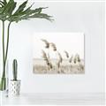 Picture of Beach Pampas _GroupedProduct_Rectangle_Landscape_Photography _GroupedProduct_Rectangle_Landscape_Unframed_Print_Only_