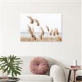 Picture of Beach Pampas _GroupedProduct_Rectangle_Landscape_Photography _GroupedProduct_Rectangle_Landscape_Unframed_Print_Only_