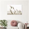 Picture of Beach Pampas _GroupedProduct_Rectangle_Landscape_Photography _GroupedProduct_Rectangle_Landscape_Unframed_Print_Only_