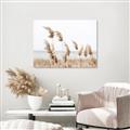 Picture of Beach Pampas _GroupedProduct_Rectangle_Landscape_Photography _GroupedProduct_Rectangle_Landscape_Unframed_Print_Only_