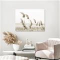Picture of Beach Pampas _GroupedProduct_Rectangle_Landscape_Photography _GroupedProduct_Rectangle_Landscape_Unframed_Print_Only_