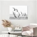 Picture of Beach Pampas _GroupedProduct_Rectangle_Landscape_Photography _GroupedProduct_Rectangle_Landscape_Unframed_Print_Only_
