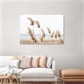 Picture of Beach Pampas _GroupedProduct_Rectangle_Landscape_Photography _GroupedProduct_Rectangle_Landscape_Unframed_Print_Only_