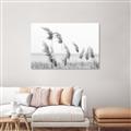 Picture of Beach Pampas _GroupedProduct_Rectangle_Landscape_Photography _GroupedProduct_Rectangle_Landscape_Unframed_Print_Only_