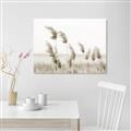 Picture of Beach Pampas _GroupedProduct_Rectangle_Landscape_Photography _GroupedProduct_Rectangle_Landscape_Unframed_Print_Only_