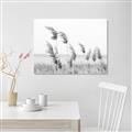 Picture of Beach Pampas _GroupedProduct_Rectangle_Landscape_Photography _GroupedProduct_Rectangle_Landscape_Unframed_Print_Only_