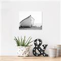 Picture of Neutral Boat _GroupedProduct_Rectangle_Landscape_Photography _GroupedProduct_Rectangle_Landscape_Unframed_Print_Only_